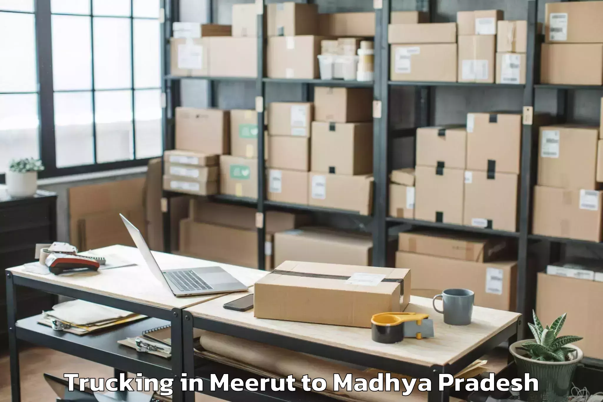 Leading Meerut to Mandsaur Trucking Provider